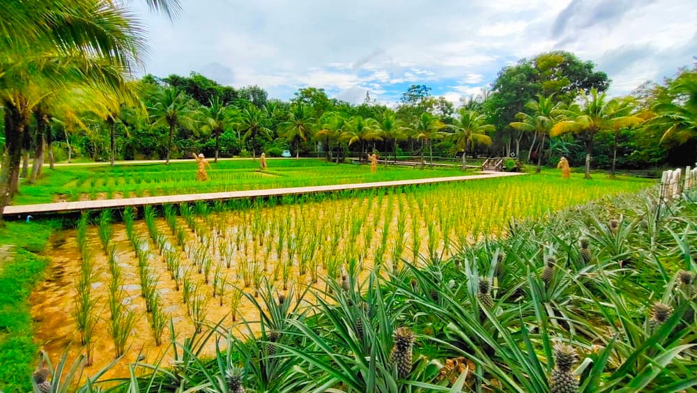 Thai Culture Experience