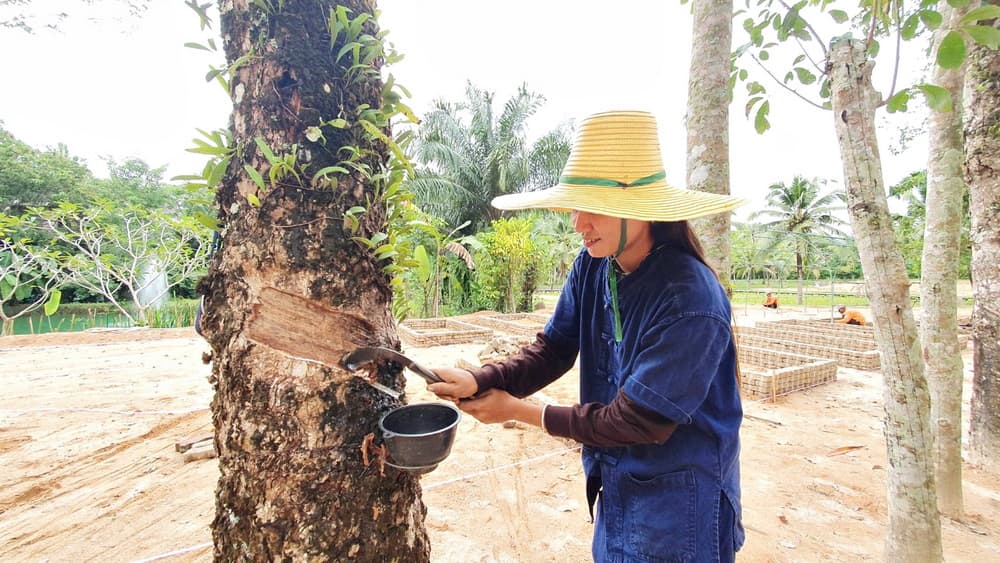 Farm activities