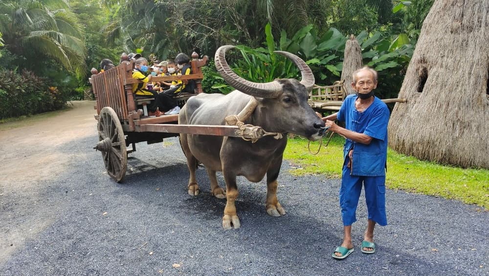 Family Activities Phuket