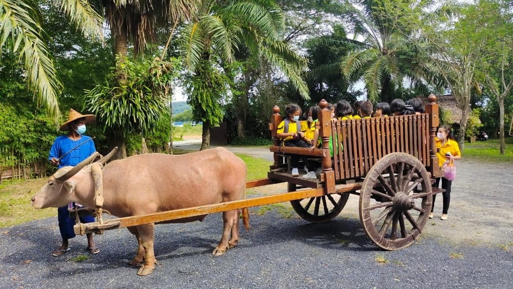 Phuket Heritage Tour