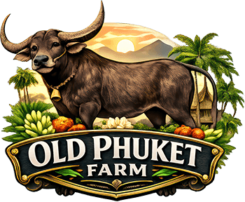 Old Phuket Farm