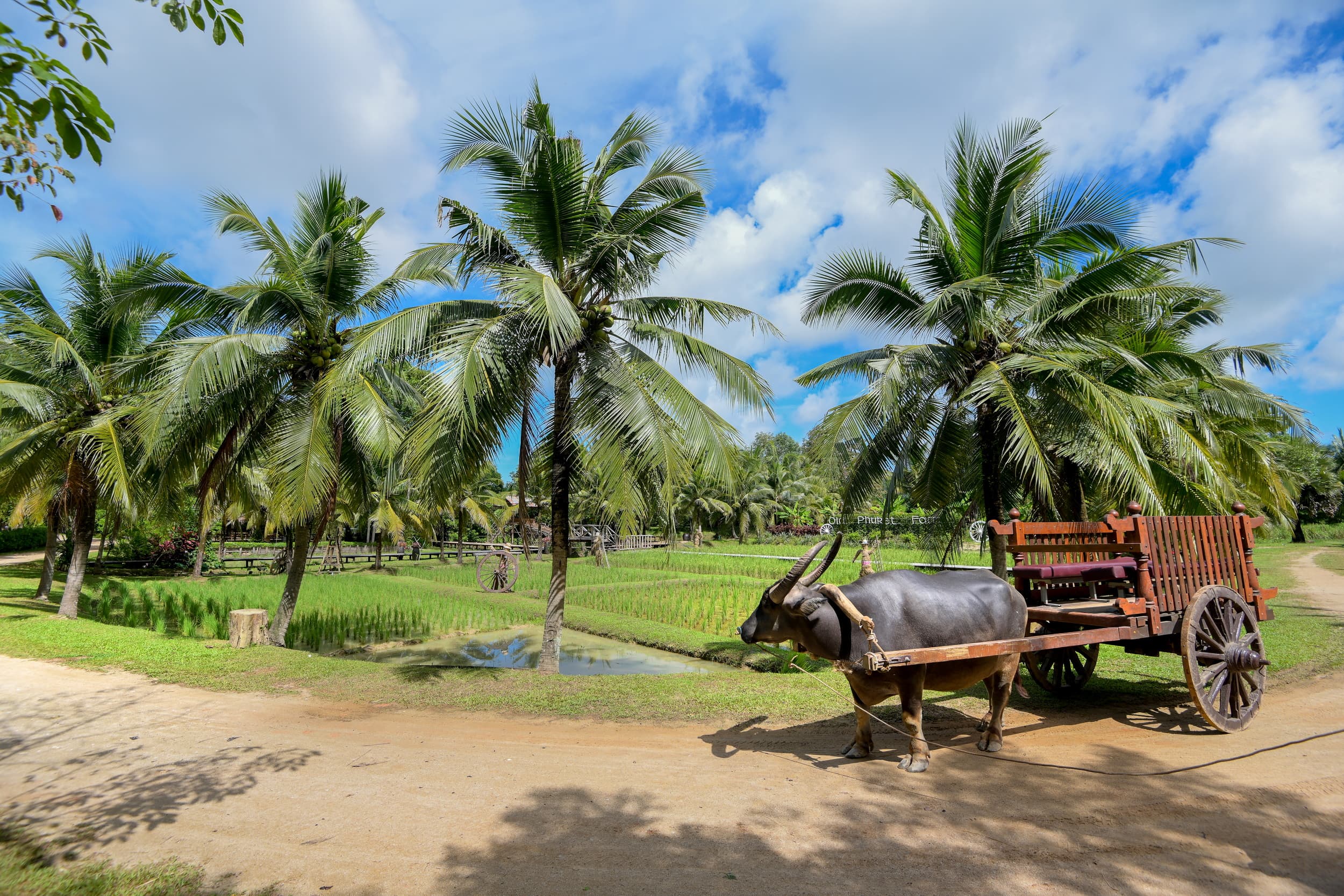 Tour Times Background