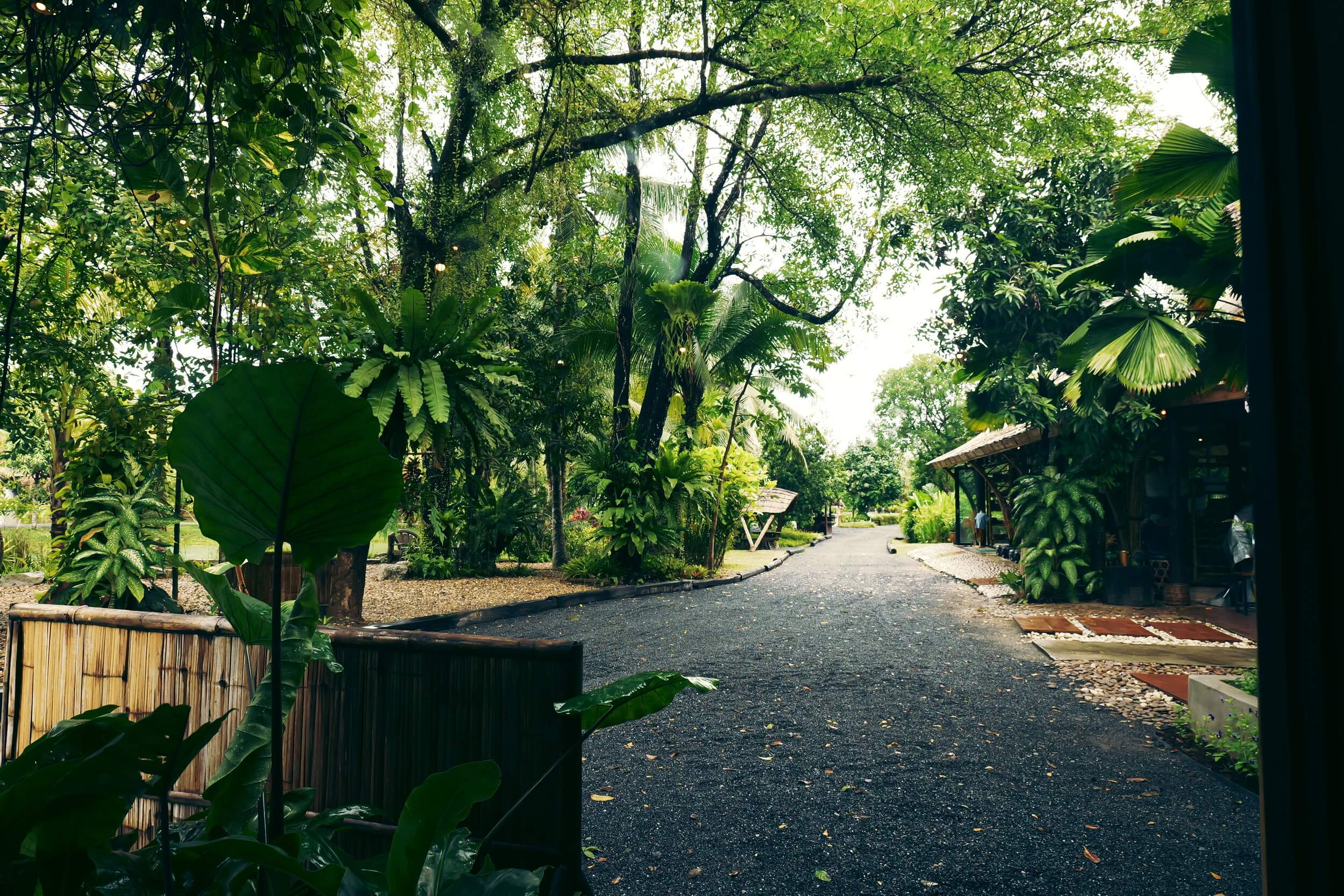 Old Phuket Farm Contact