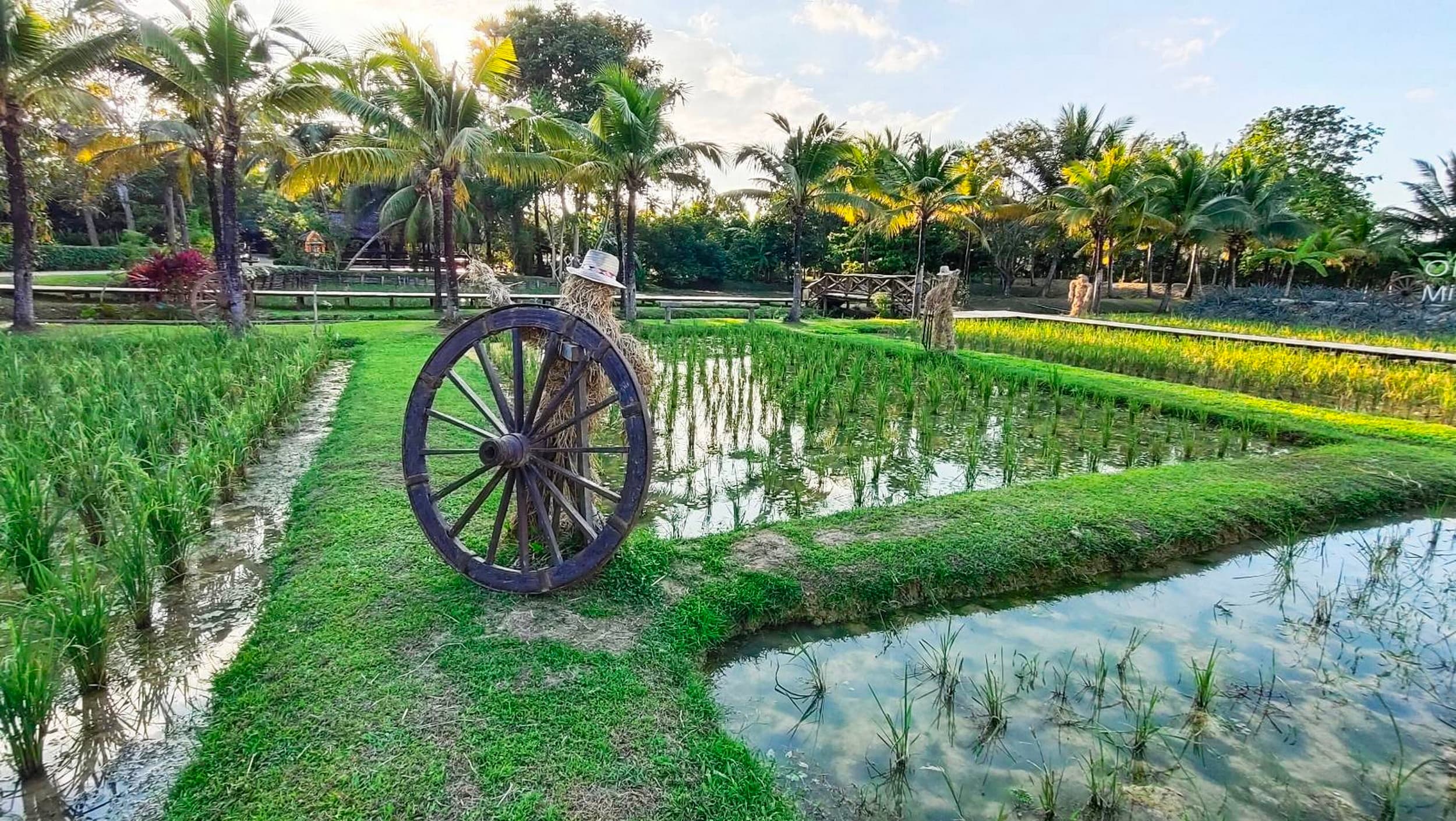 Old Phuket Farm