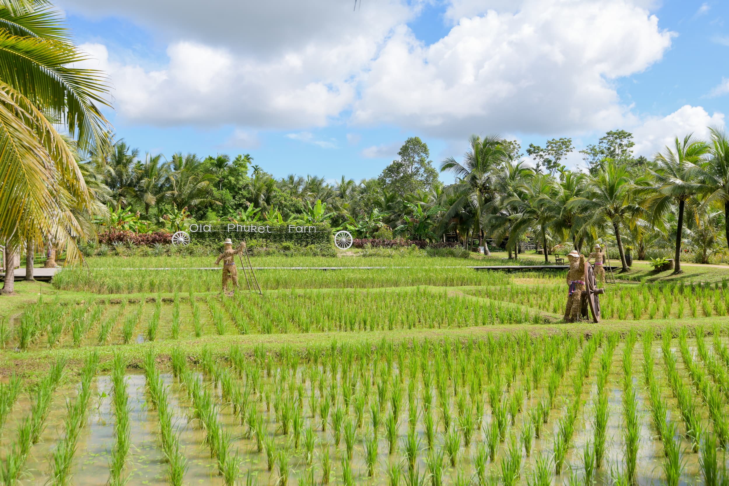 Old Phuket Farm