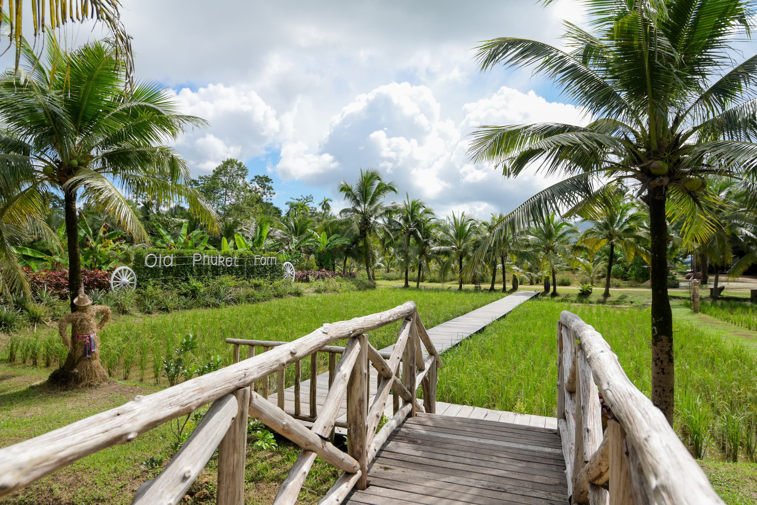 Farm Background