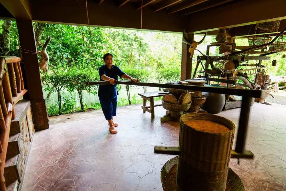 Support Cultural Preservation A guide demonstrating a traditional wooden rice mill