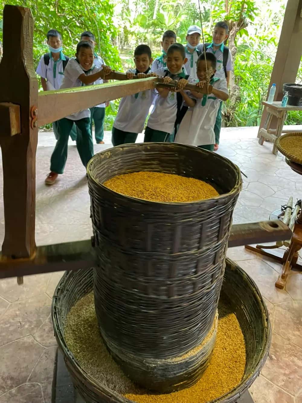 Top Daytime Activities in Phuket Best Phuket day activities in the countryside