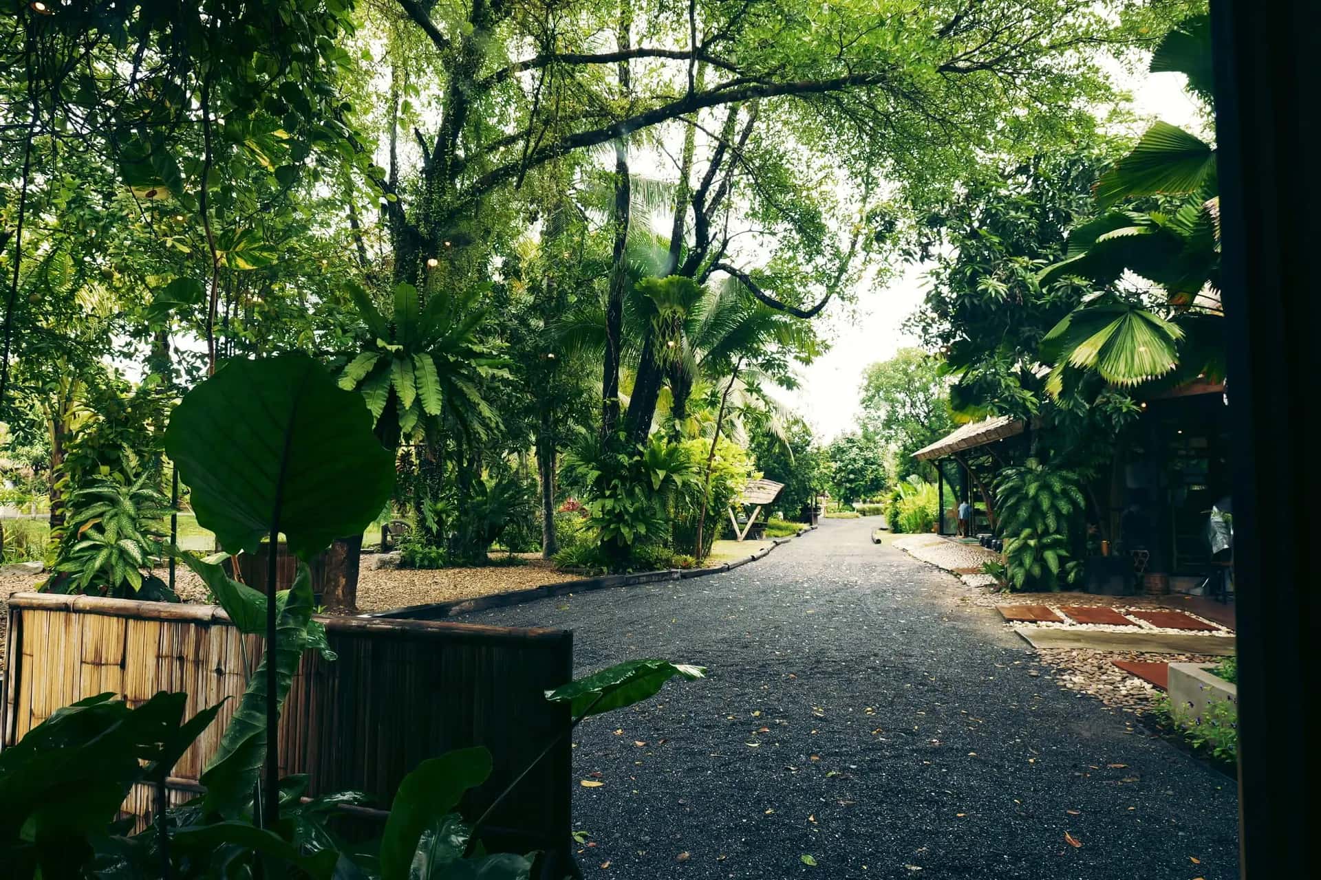 Old Phuket Farm Contact
